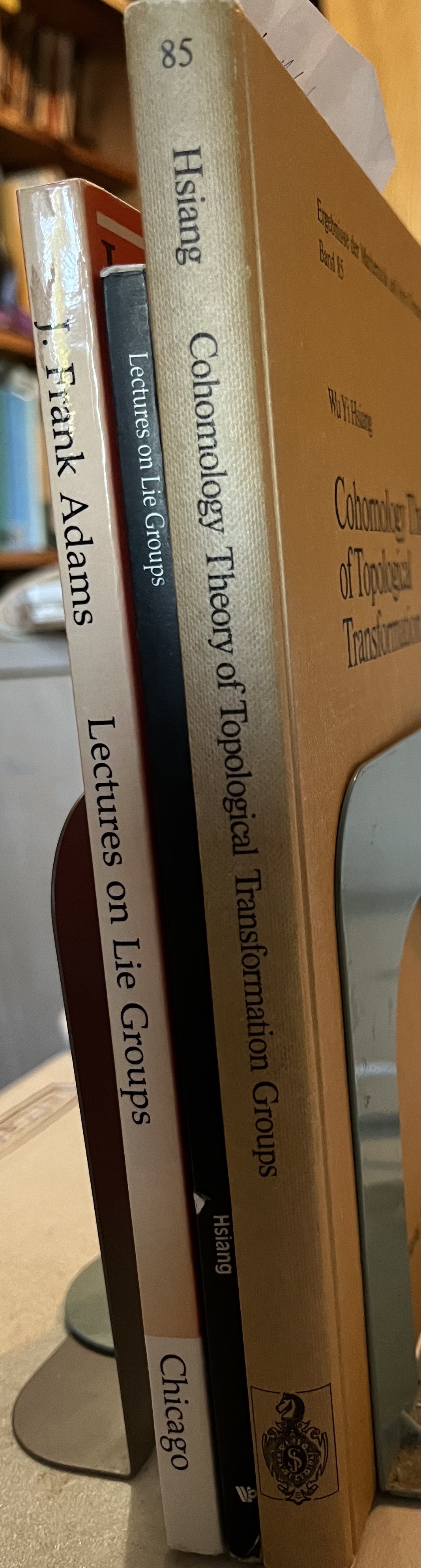 LieGpsShelf
